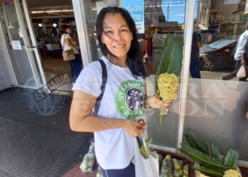 Las palmas para la bendición de ramos este año llegan con un aumento del 500%