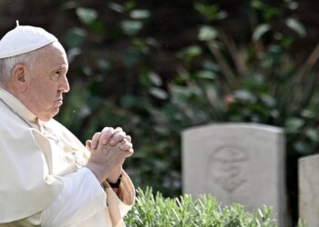 Papa Francisco: “¡Basta, por favor!”