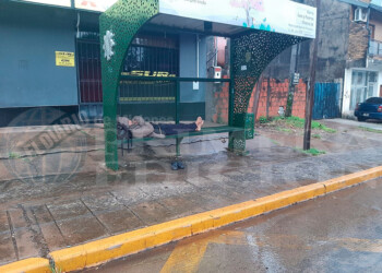 El paro de colectivos continúa en todo Misiones