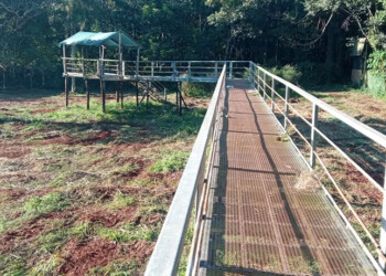 La difícil tarea de recuperar el laberinto del Parque Vortisch