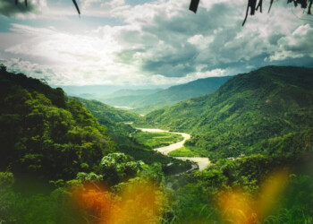 Apuestas deportivas en Perú: las casas más populares y confiables