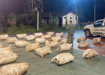 Gendarmería incautó más de 640 kilos de marihuana en Puerto Piray