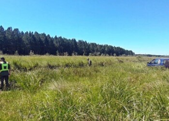 Ituzaingó: Gendarmería incautó 83 kilos de marihuana sobre Ruta 12 luego de un tiroteo