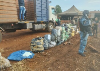 Destruyeron casi una tonelada de droga secuestrada por la policía