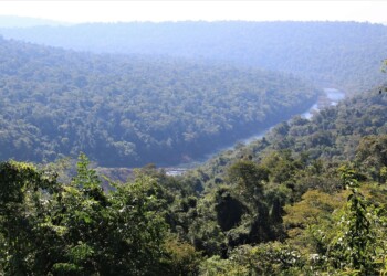 Pacto de Mayo: advierten riesgo de extranjerizar los recursos naturales