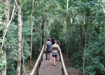 Los mejores destinos para visitar durante Semana Santa en Misiones, según la inteligencia artificial