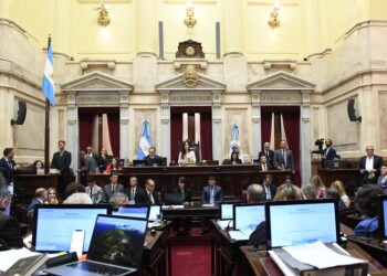 Revés para el Gobierno nacional: el Senado rechazó el mega DNU de Javier Milei