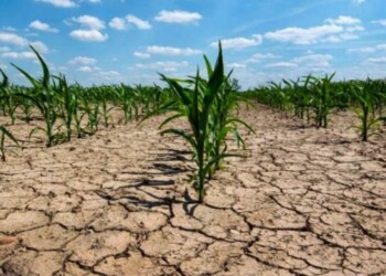 La Niña llegará sin que El Niño haya permitido generar reservas de agua