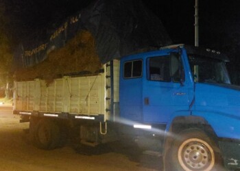 Dos camiones cargados de tabaco fueron incautados en San Vicente