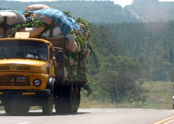 “Hay empresas que traen yerba de afuera con el Gobierno nacional como aliado”