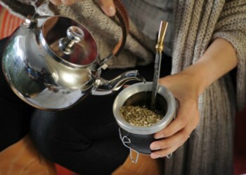Cuáles son los yuyos más recomendables para ponerle al mate