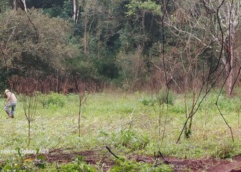 Tras el incendio en la comunidad Tataendy, denuncian que ahora les tiraron herbicida
