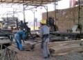 Obreros de la industria maderera aseguran que la situación actual es “angustiante”