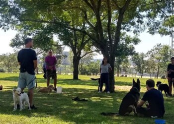 Comenzó nueva edición del Programa de Adiestramiento Canino con iniciación a la terapia asistida