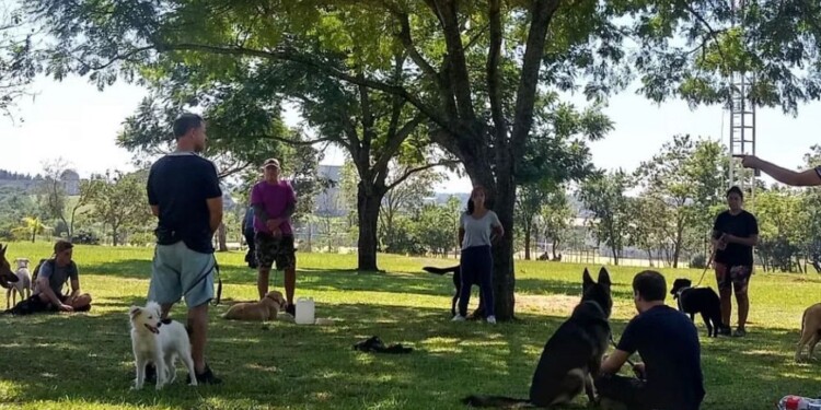 TEORÍA Y PRÁCTICA. Las clases son teórico prácticas y se realizan en el Parque de la Ciudad, en Posadas.