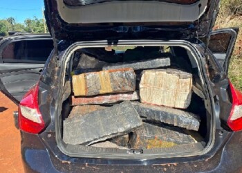 Abandonó un auto cargado con más de 600 kilos de marihuana