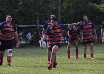 Cazador de camaleones