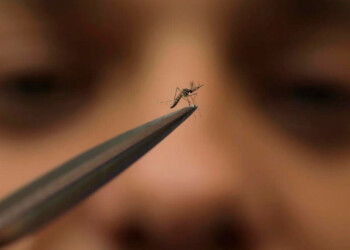 Una amenaza a la que no conviene entregarse, nuestro editorial de hoy