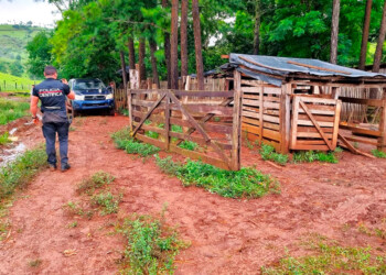 Preventiva para los tres peones que mataron a su patrón por impedirles faenar un chancho