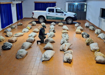 Gendarmería decomisó más de una tonelada de marihuana en Misiones