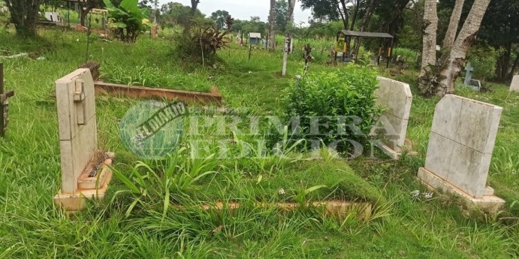 URGE. El pasto avanzó sobre distintas zonas del cementerio, cubriendo casi por completo algunas tumbas.