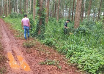 Sobrevivió al ataque en el que murió su hijo y aguardan su testimonio