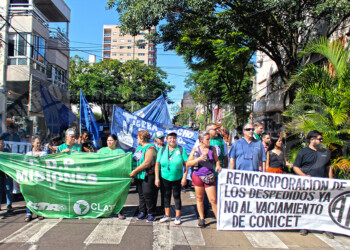 Trabajadores estatales se manifestaron frente a la sede del Senasa en Posadas