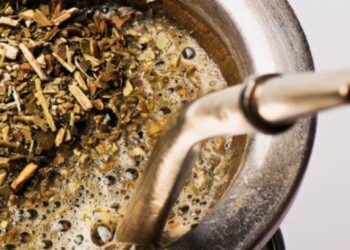 Validado por la ciencia, el mate es aliado contra el Parkinson y otras enfermedades