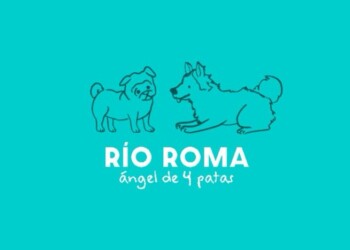 Río Roma lanzó ” Ángel de cuatro patas”, una canción dedicada a las mascotas