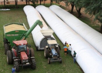 Casi el 40% de los granos queda en silobolsas