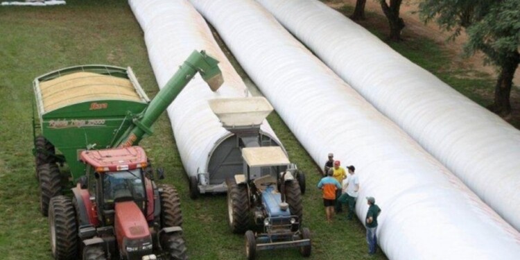 Imagen ilustrativas (Archivo)