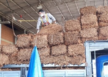 La Provincia y entidades alertaron a la Nación por el desfinanciamiento del FET