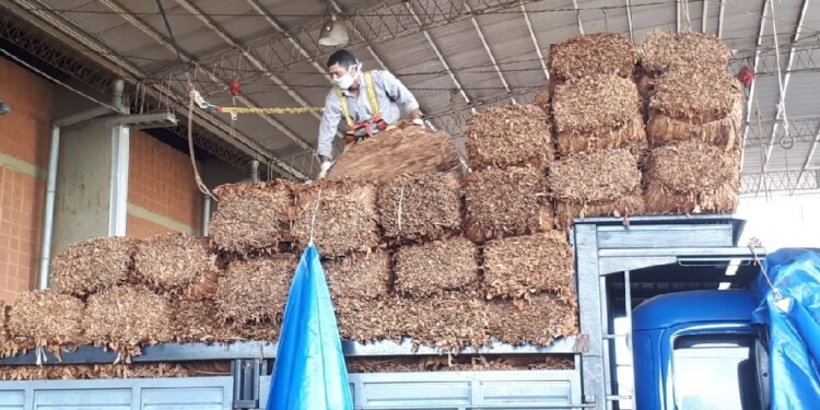 CAÍDA. La producción cayó en el último año y afectó al financiamiento del sector y a las obras sociales