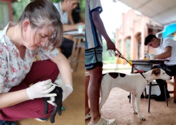 Lanzan campaña de castración gratuita en Gobernador Roca