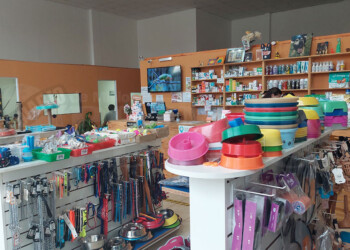 ¿Cuánto cuesta mantener una mascota? Los costos que hay que asumir para una tenencia responsable