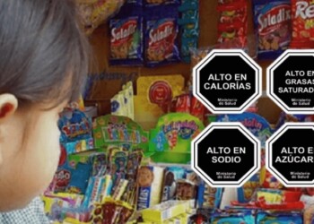Alimentación: “Los buenos hábitos en la infancia van a prevenir las enfermedades del futuro”