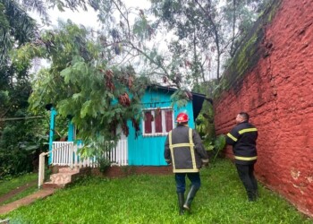 Tormenta provocó la caída de un árbol sobre una casa en Oberá