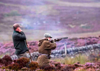 Polémica por la caza deportiva en Santa Cruz: presentaron un proyecto para derogar la resolución que la habilita