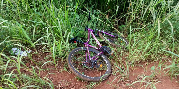 FATAL. La mujer circulaba por la ruta provincial 227 cuando fue embestida.