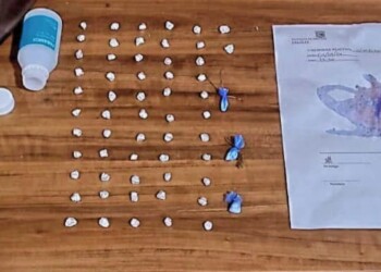 Hallaron marihuana en Piñalito Norte y detuvieron a “narcodelivery” en Iguazú