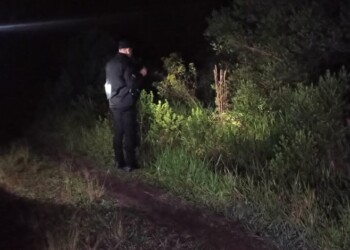 Prisión preventiva al acusado de masacrar a un colono en la ruta Provincial 2