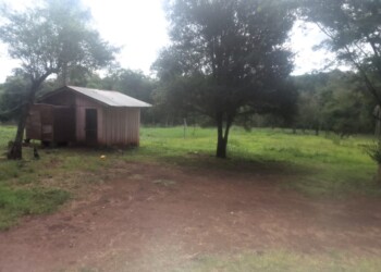 Vecina desmiente haber quemado la choza mbya: “Ellos quieren entrar en mi terreno”