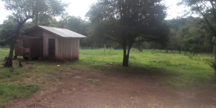 TERRITORIO. Martínez dice tener los papeles de seis hectáreas de tierra donde vive con sus hijos.