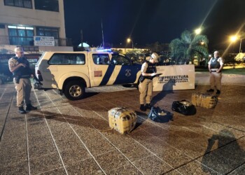 Incautaron más de 73 kilos de marihuana en Posadas