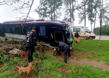 Despiste de ómnibus en la ruta provincial 103 deja solo daños materiales