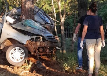 Hombre perdió la vida al despistar su auto y chocar contra un árbol