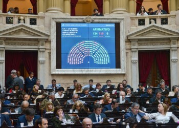 Los siete diputados por Misiones votaron la Ley de Bases