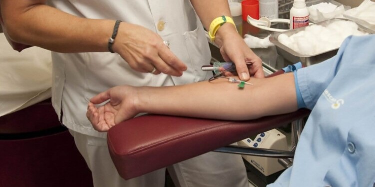 LA DONACIÓN. En la Argentina, se utiliza mayormente el método de aféresis para los donantes de médula ósea.