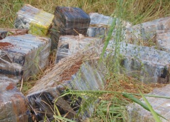 Eldorado: hallan más de media tonelada de droga entre malezas en pleno barrio Elena