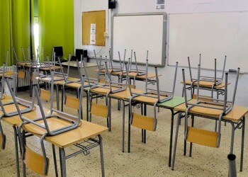 Diputado libertario criticó la educación obligatoria: “Podés necesitar a tu hijo en el taller”